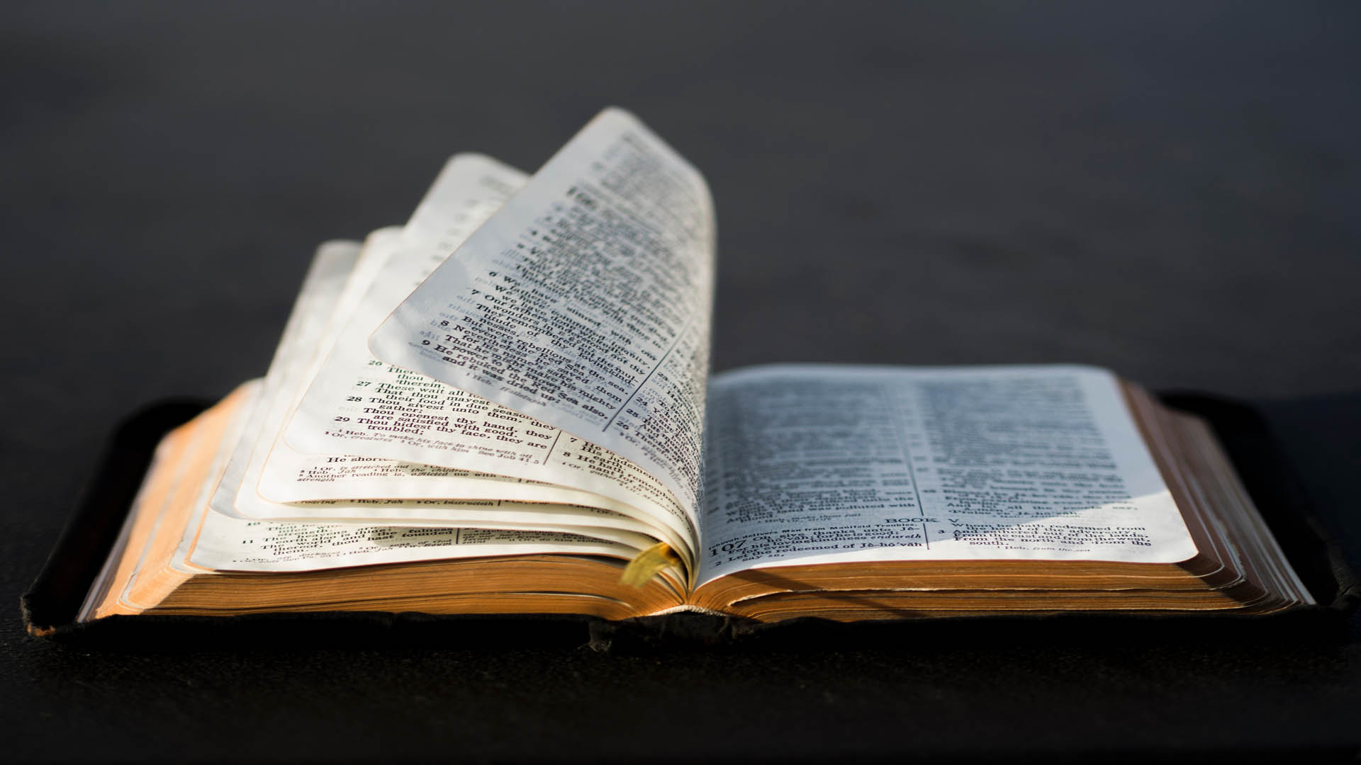Biblical Interpretation, Yesterday and Today