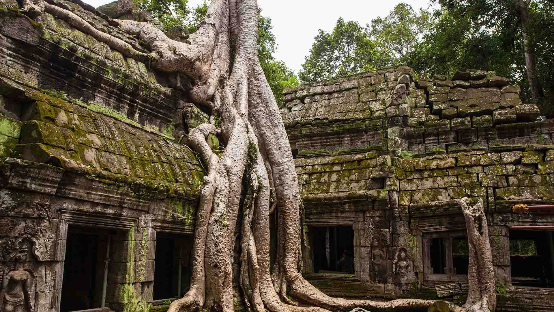 The Kingdom of Cambodia