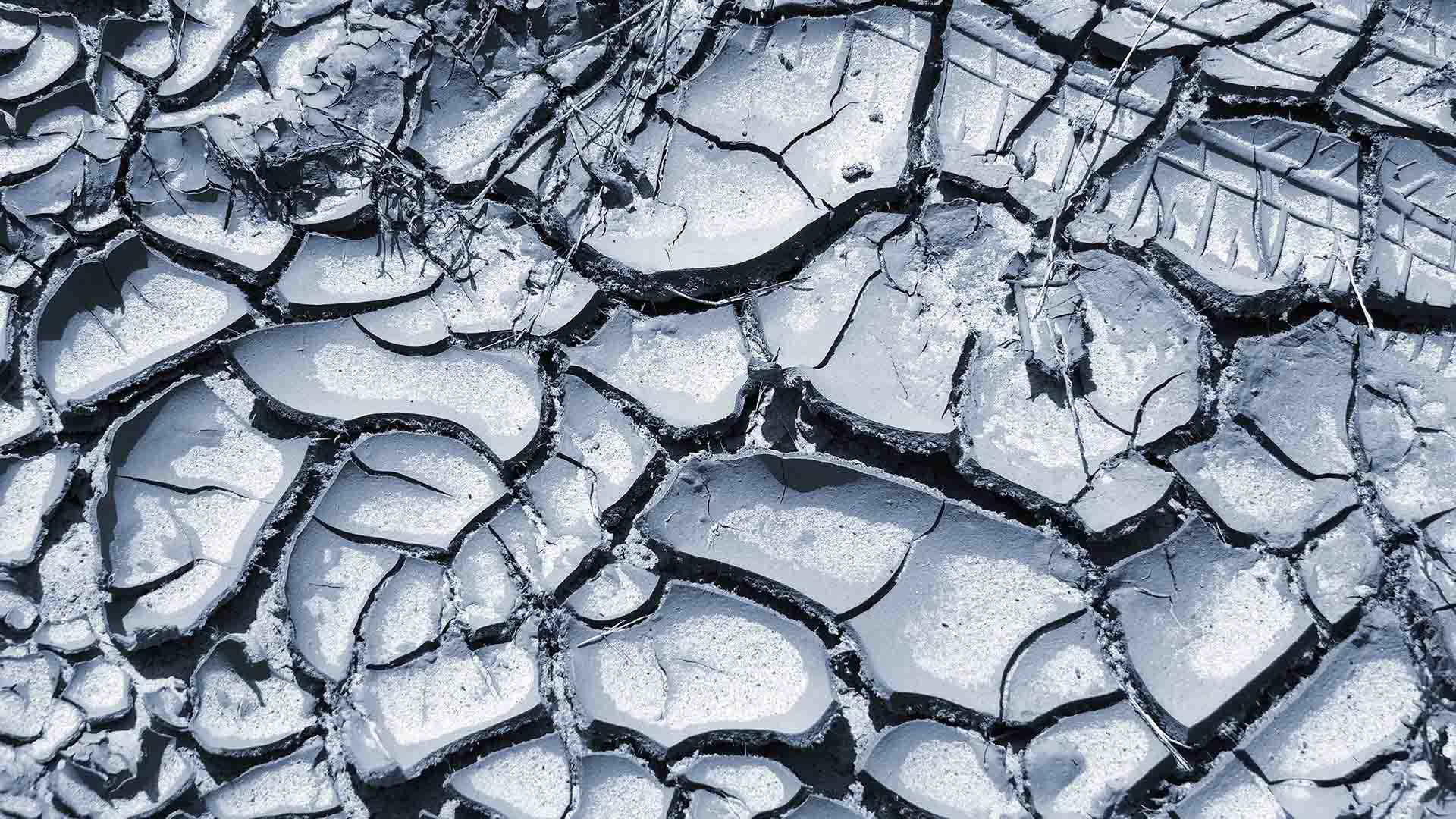 текстура трещин. потрескавшаяся дорога. растрескивание почвы. белый лед на растрескавшейся земле. текстура потрескавшейся земли.