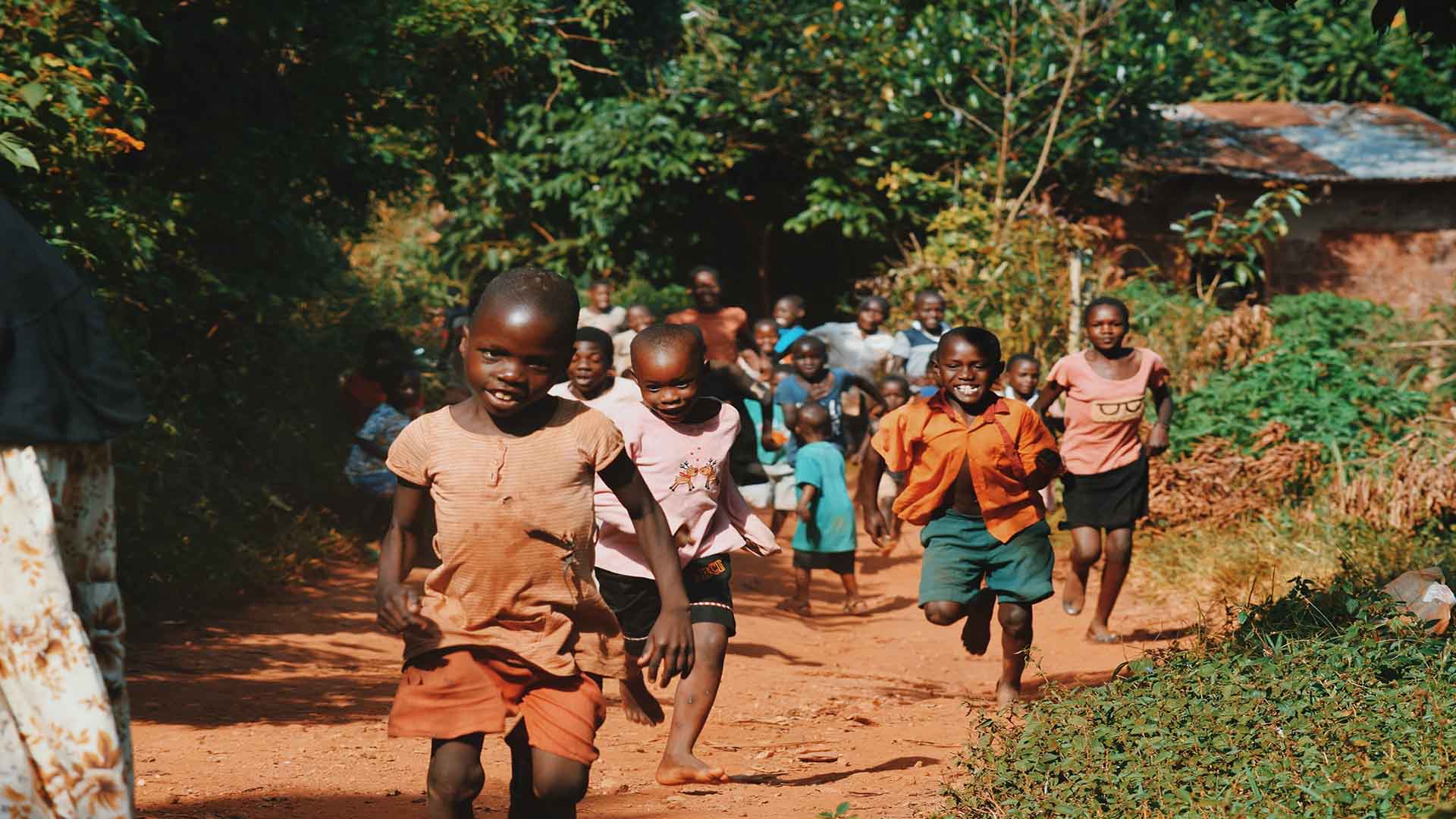 9 Things You Should Know About Orphans