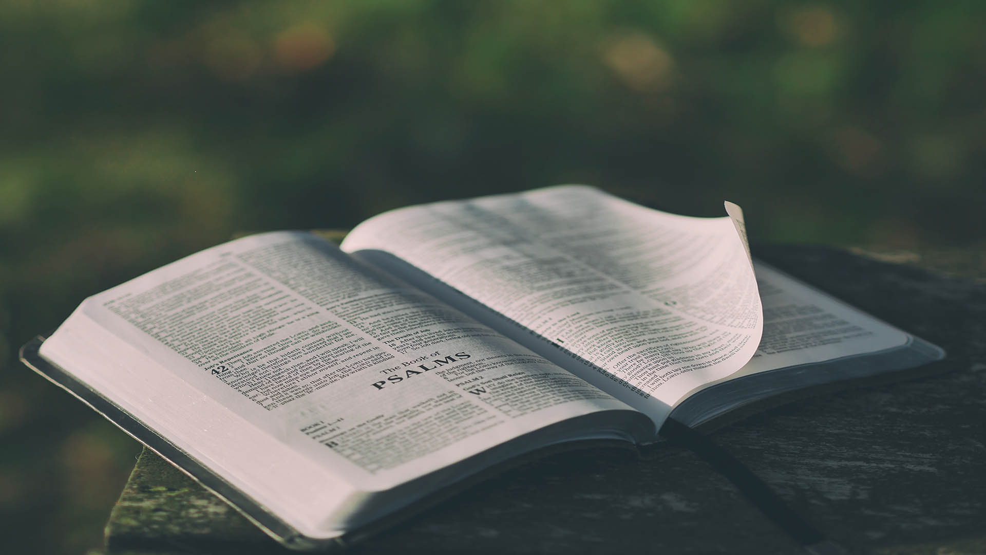 How to Experience Scripture with Your Students