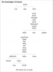 TGC Course | Introduction to Genesis