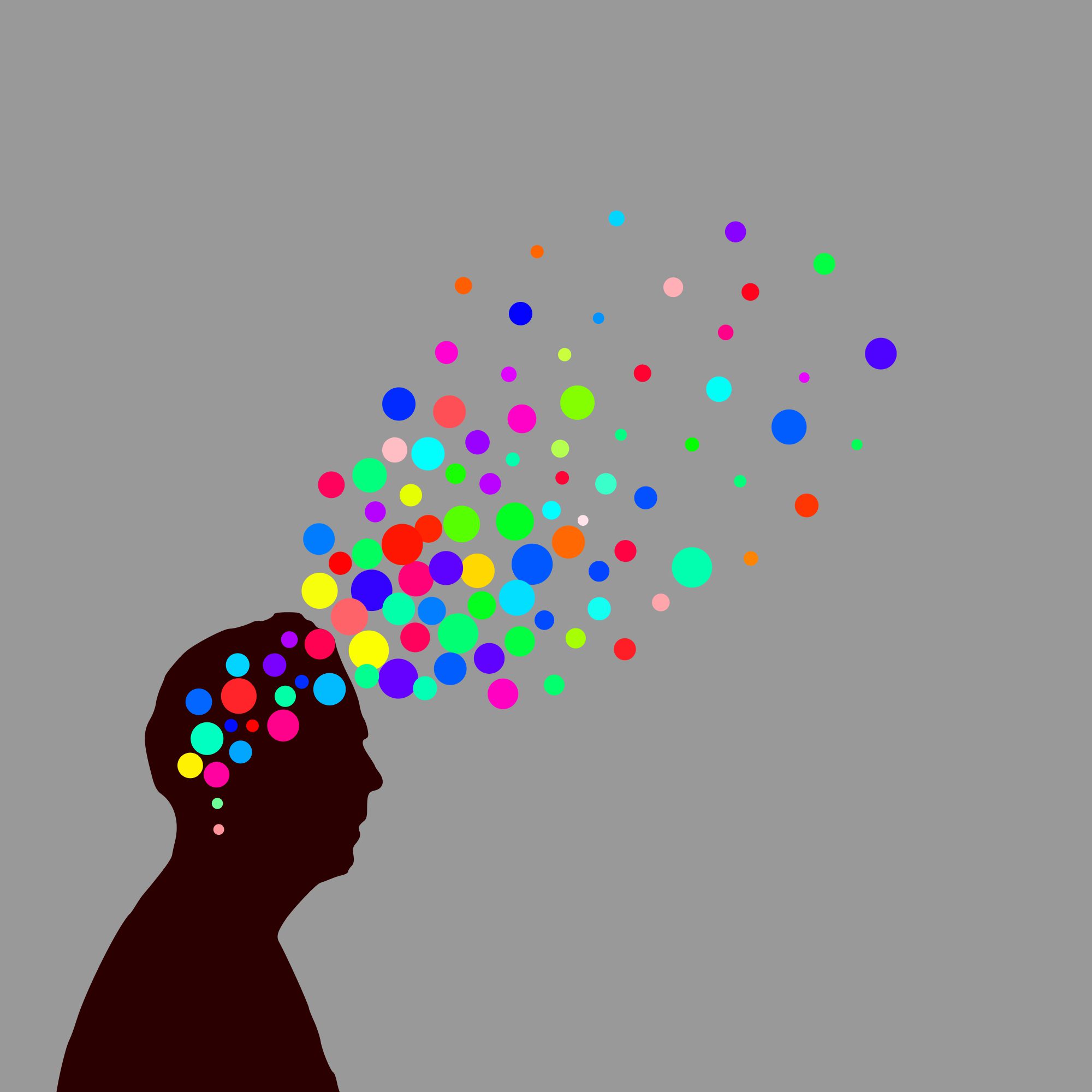 Mrpipo essay picture