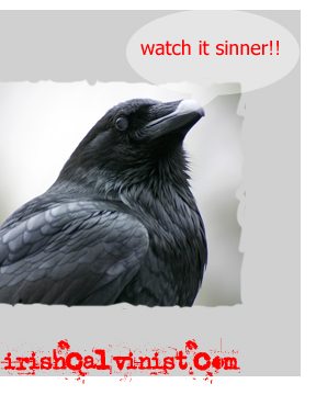 Introducing Rev. Raven