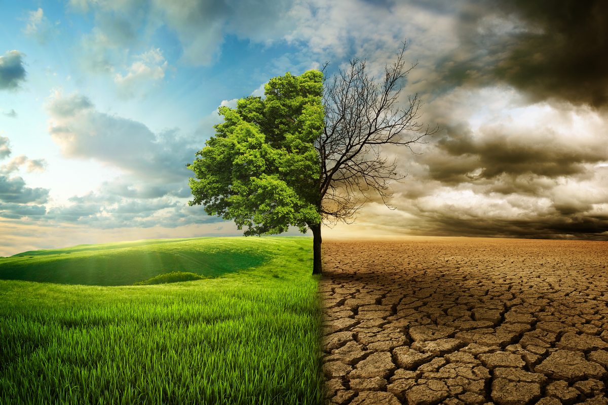 the-staggering-consequences-of-neglecting-your-bible