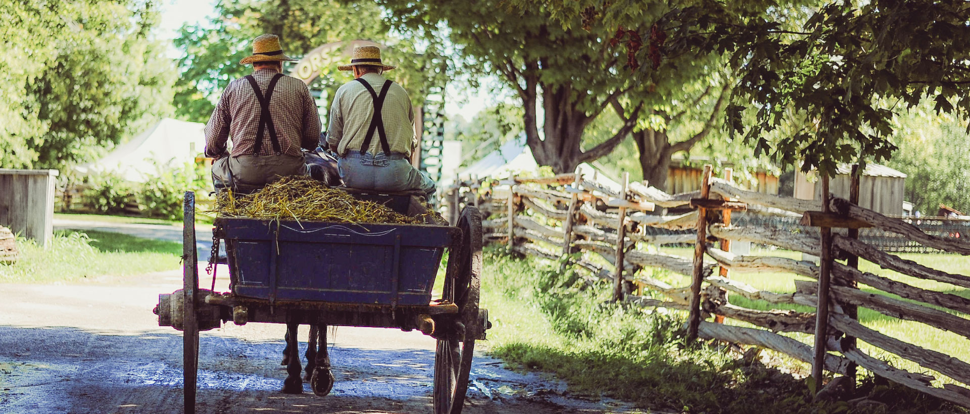 телега с лошадью. карета с лошадью. баба в телеге. крестьянин на телеге. сон телега ехать.