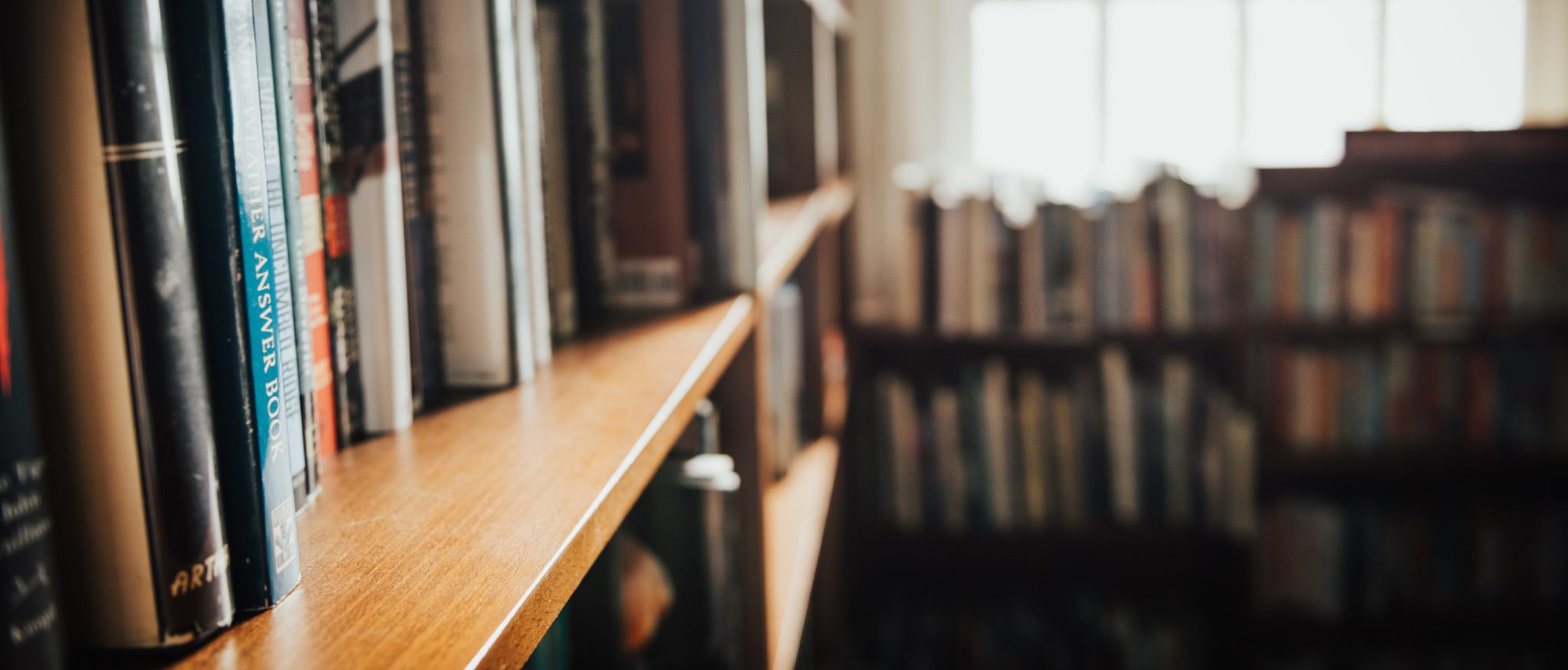 TGC Editorial Staff: Books We Enjoyed in 2019