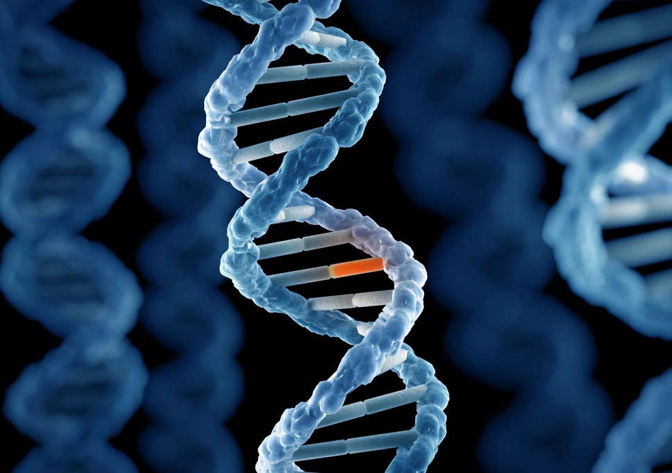 research paper about genetic diseases pdf