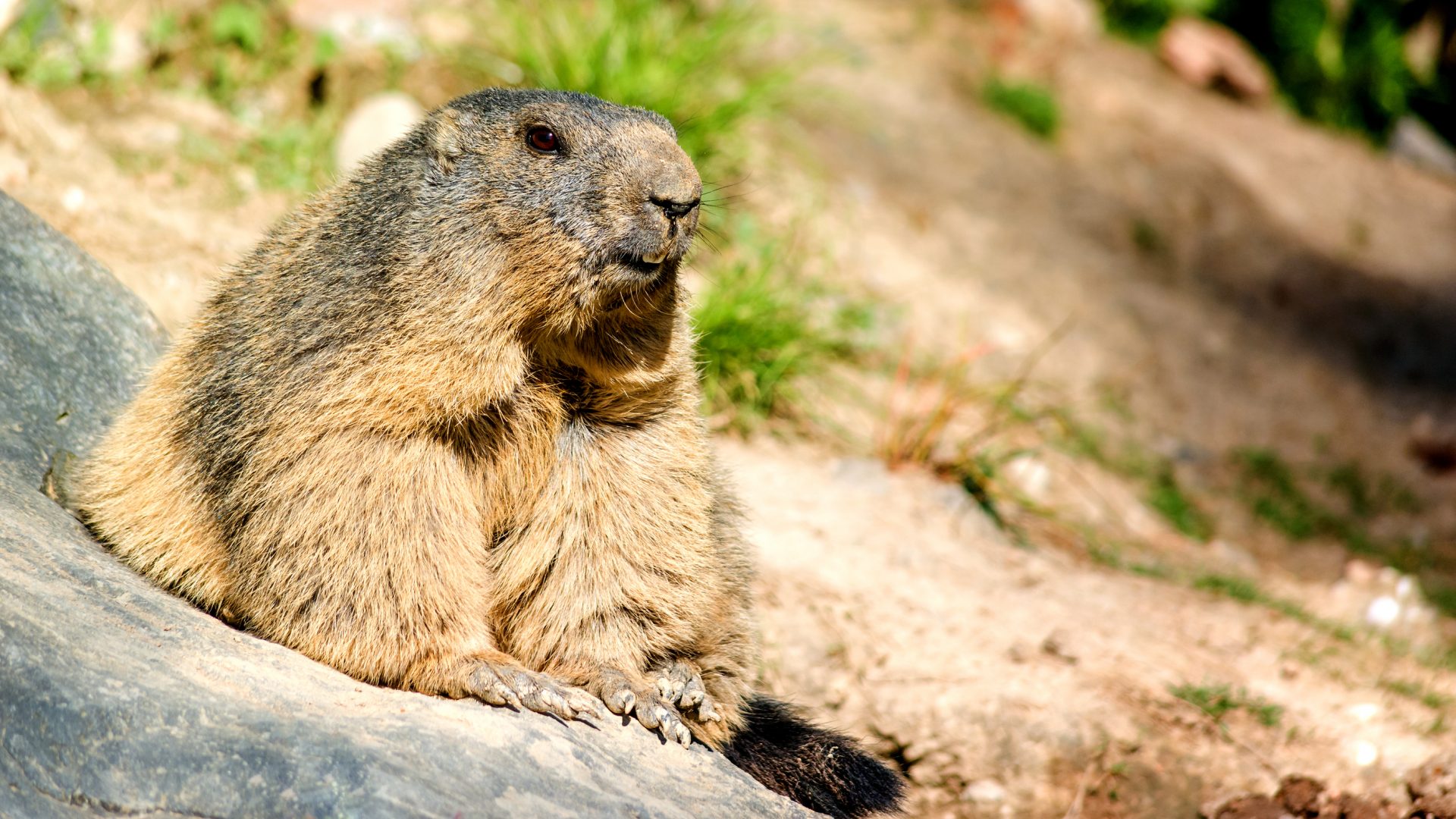 Emerging from Groundhog Day