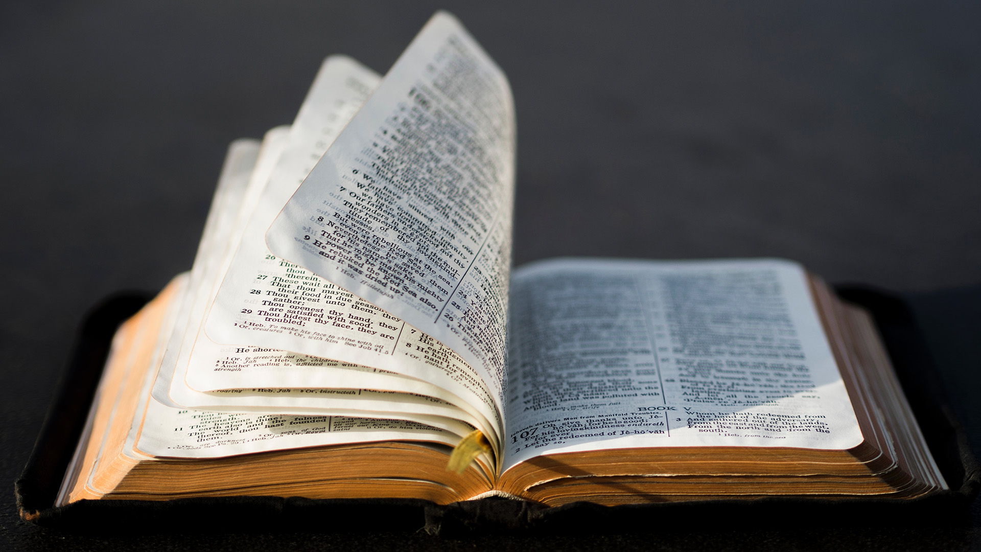 Compelling Reasons To Trust A 2,000-Year-Old Bible