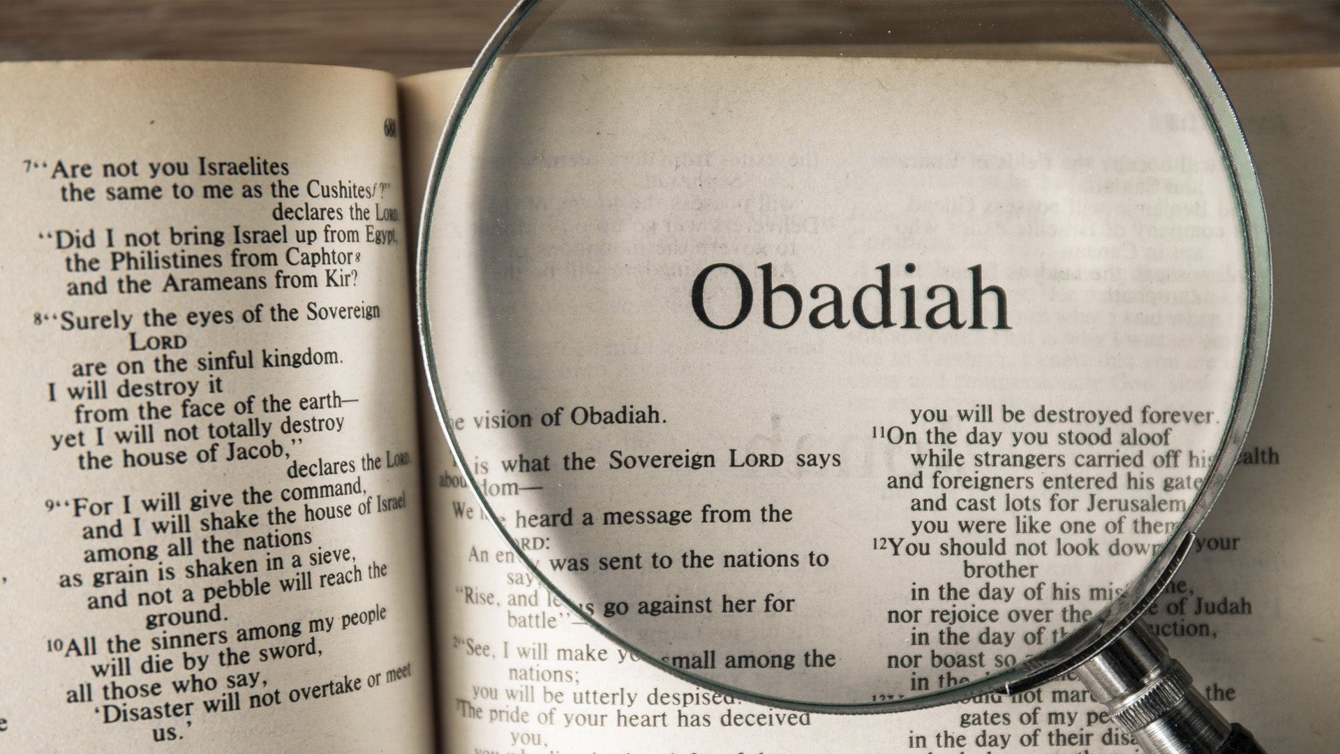 obadiah bible