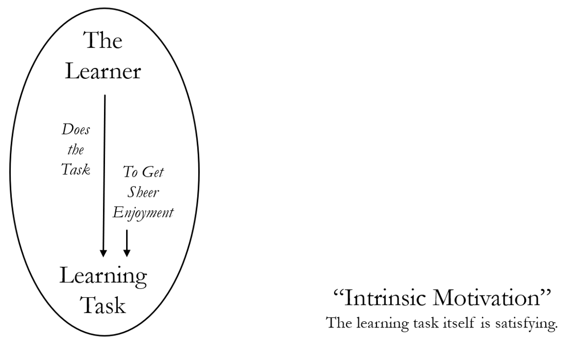 Figure 1: Intrinsic Motivation