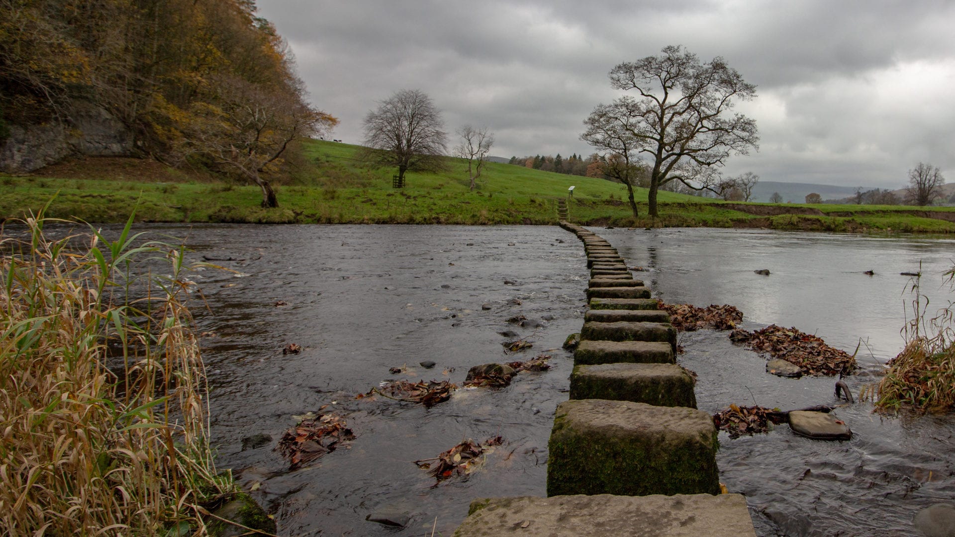 stone path across stream