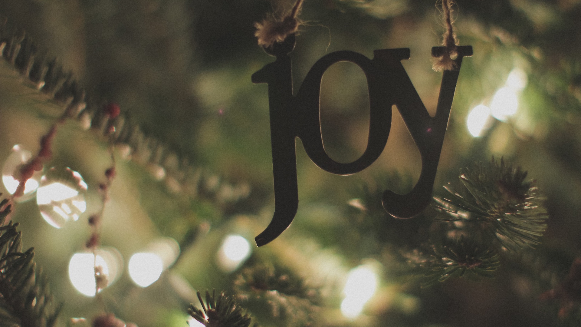 Advent Meditation: Surprised by Joy