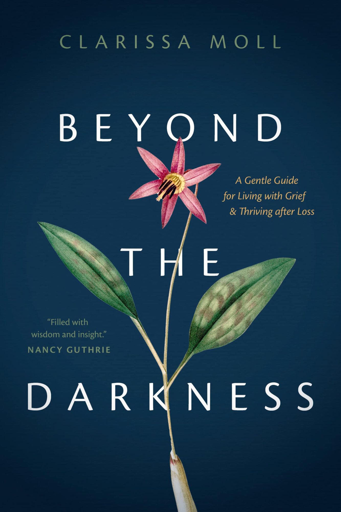 Review: ‘Beyond the Darkness’ by Clarissa Moll