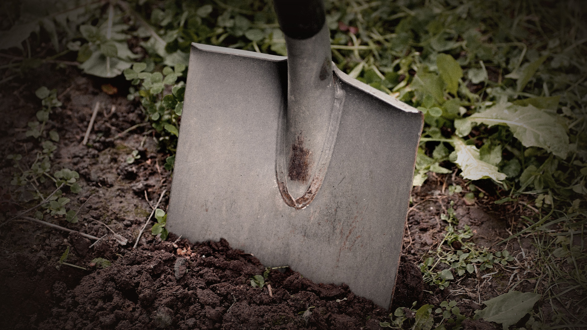 How Should I Dispose of a Bible?