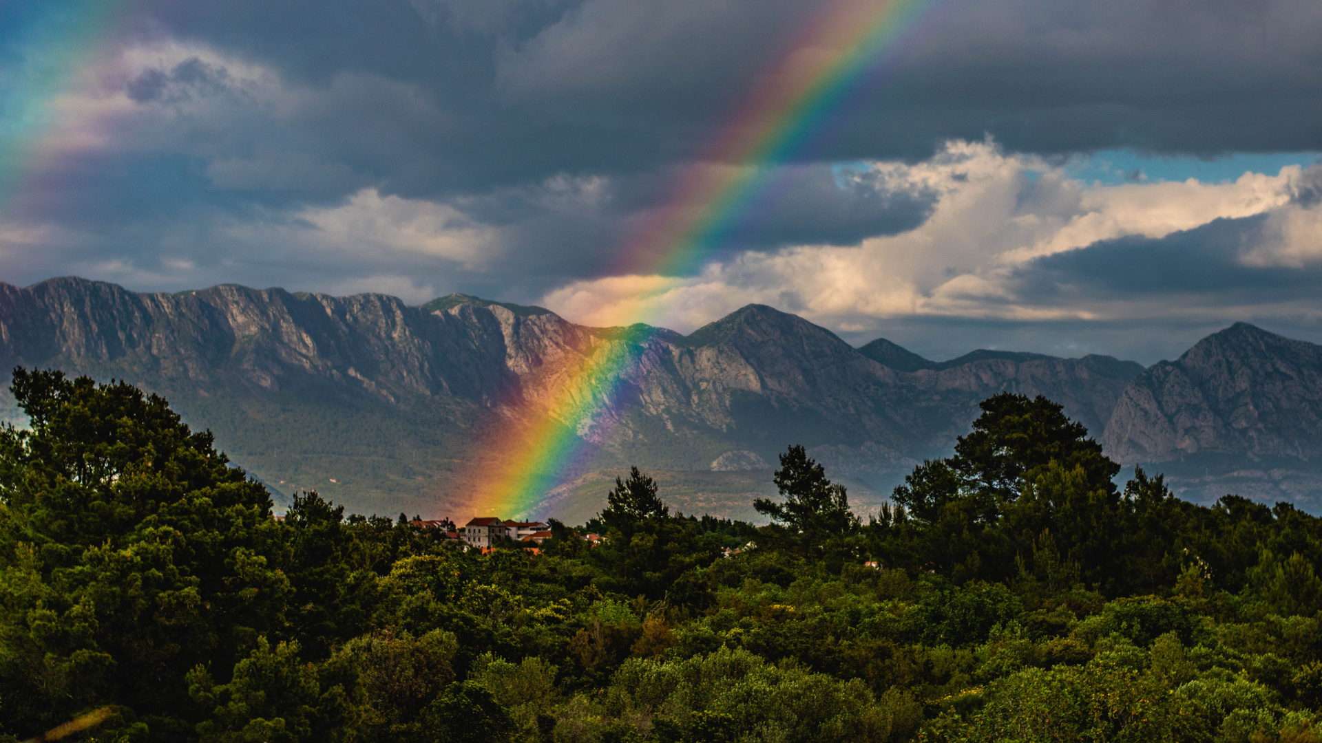 What Is Covenant Theology?