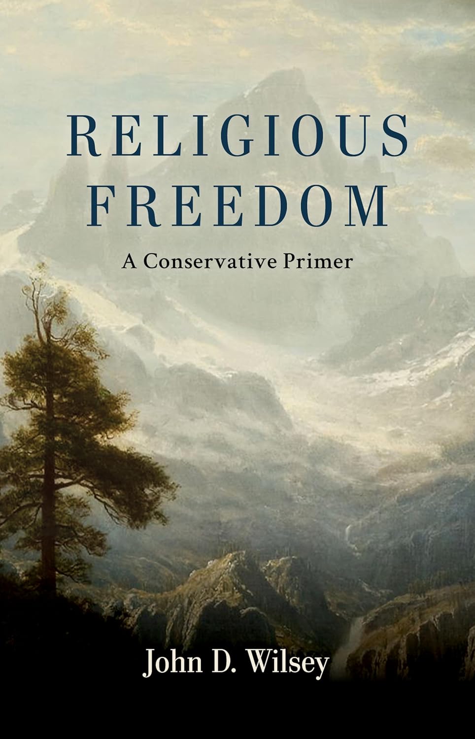 Review: 'Religious Freedom' by John D. Wilsey