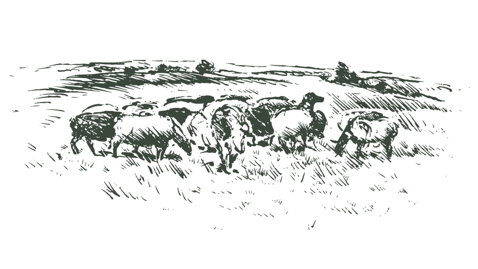 Shepherd the Flock: Advice to New Elders