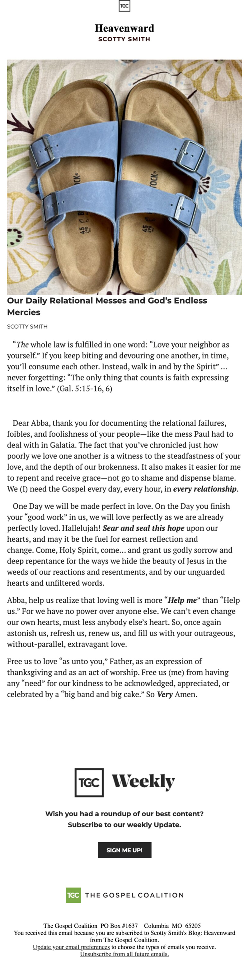 Newsletter Preview