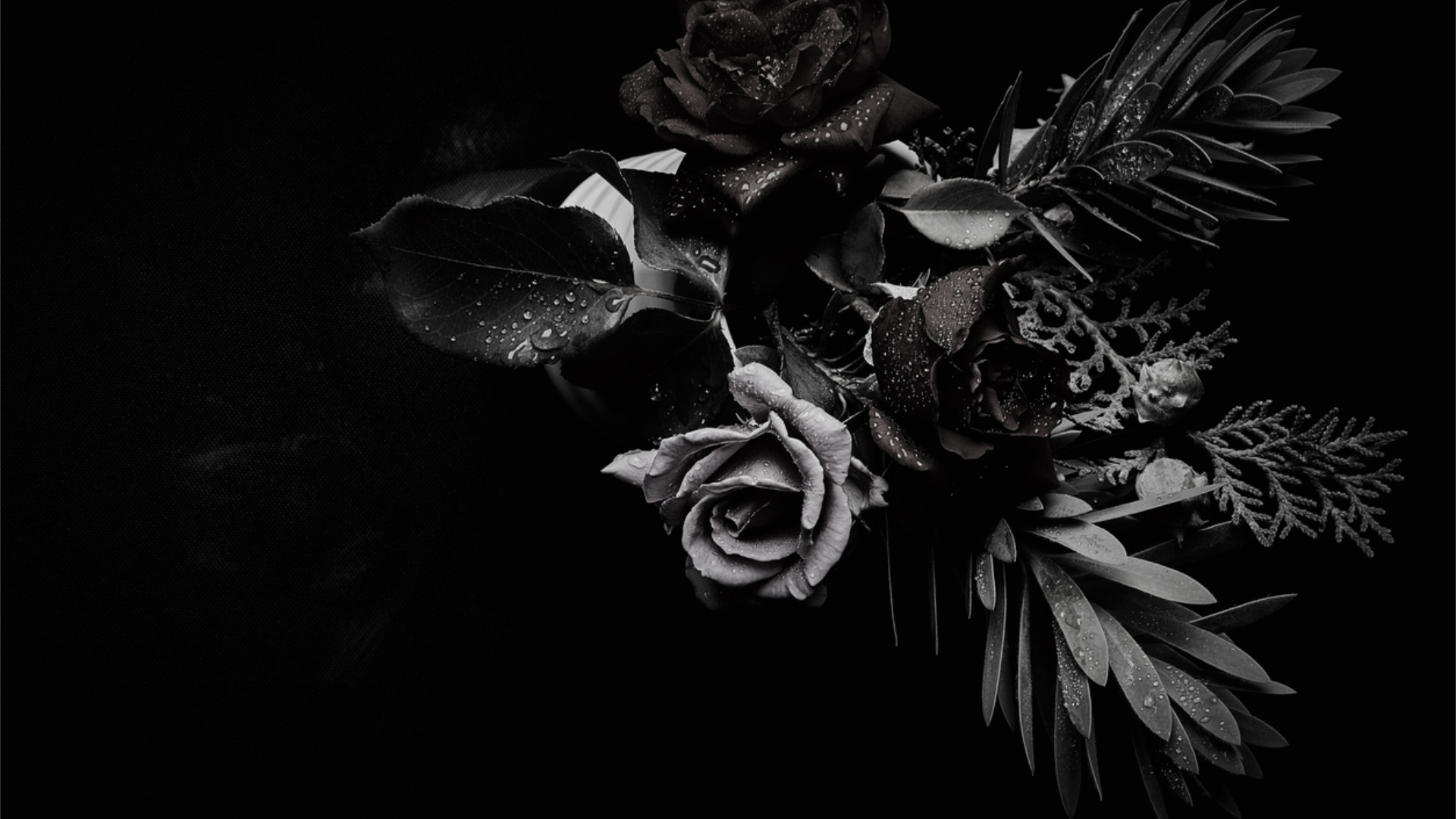 How to Traverse the Dark Side of God’s Sovereignty