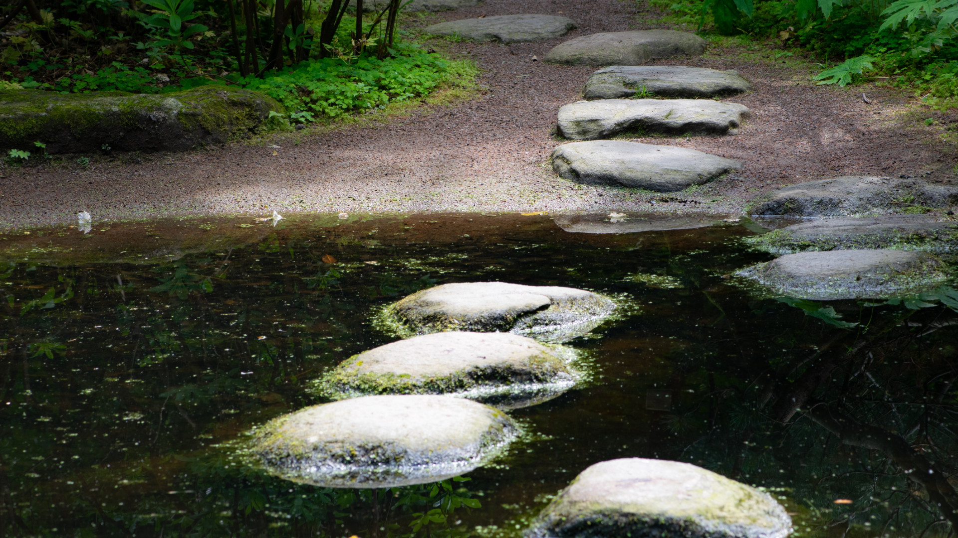 Aimlessness Is an Evangelistic Opportunity