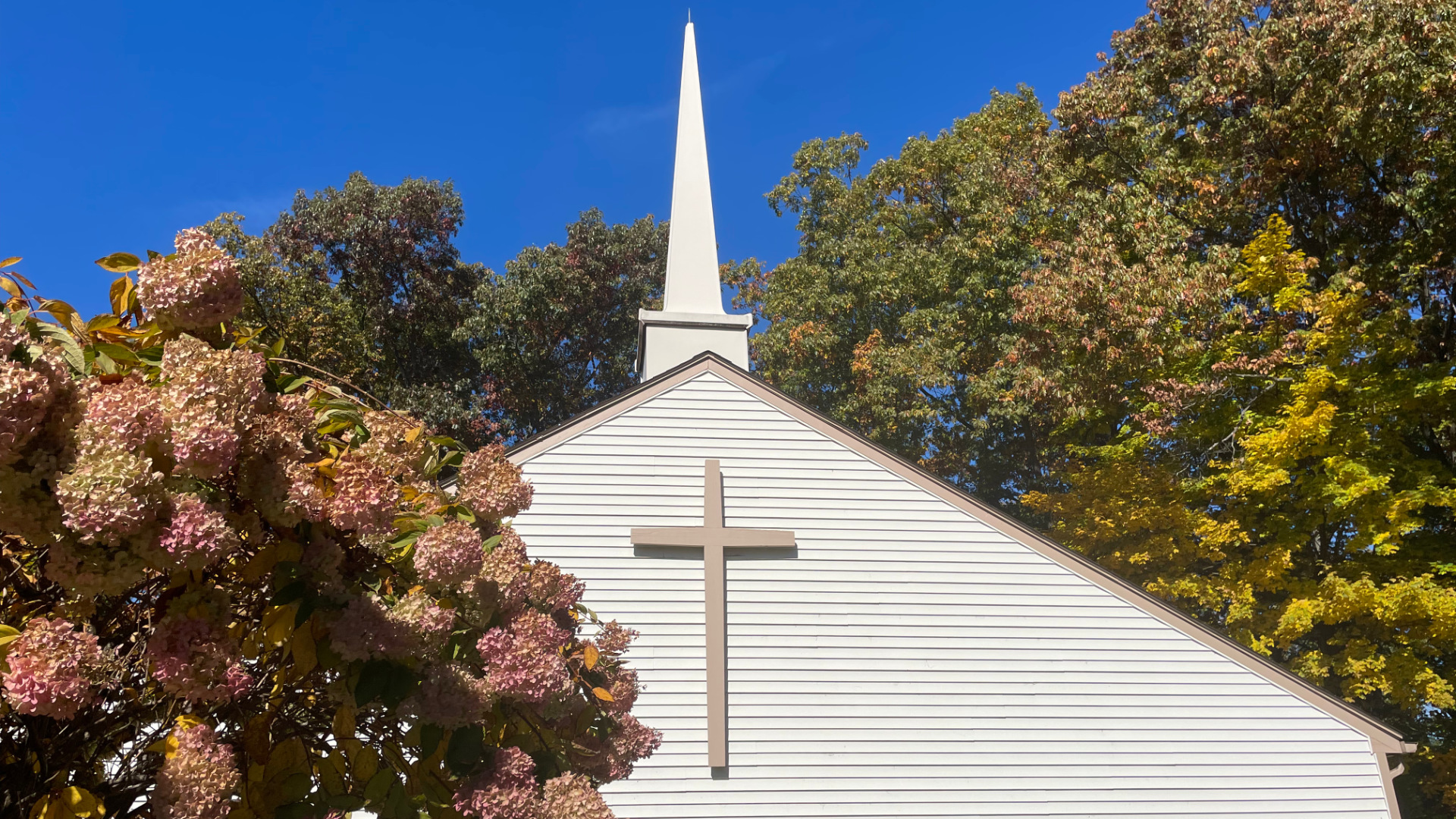 Thrive as the Pastor of an Ordinary Church