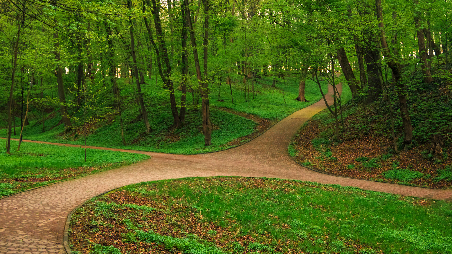 ‘Third Way’ Is Far Deeper Than Politics. It’s About Mythology.