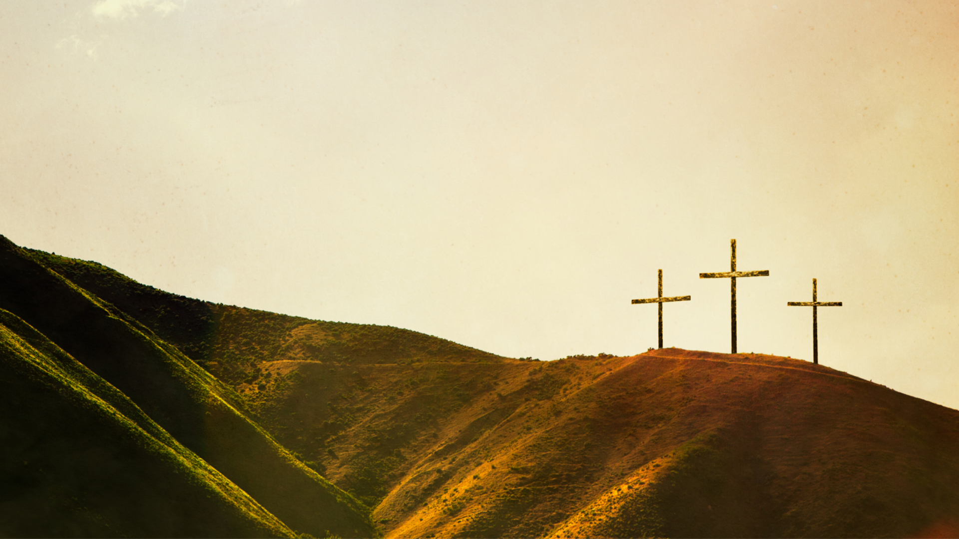 Lifted Up: Discover John’s View of the Cross