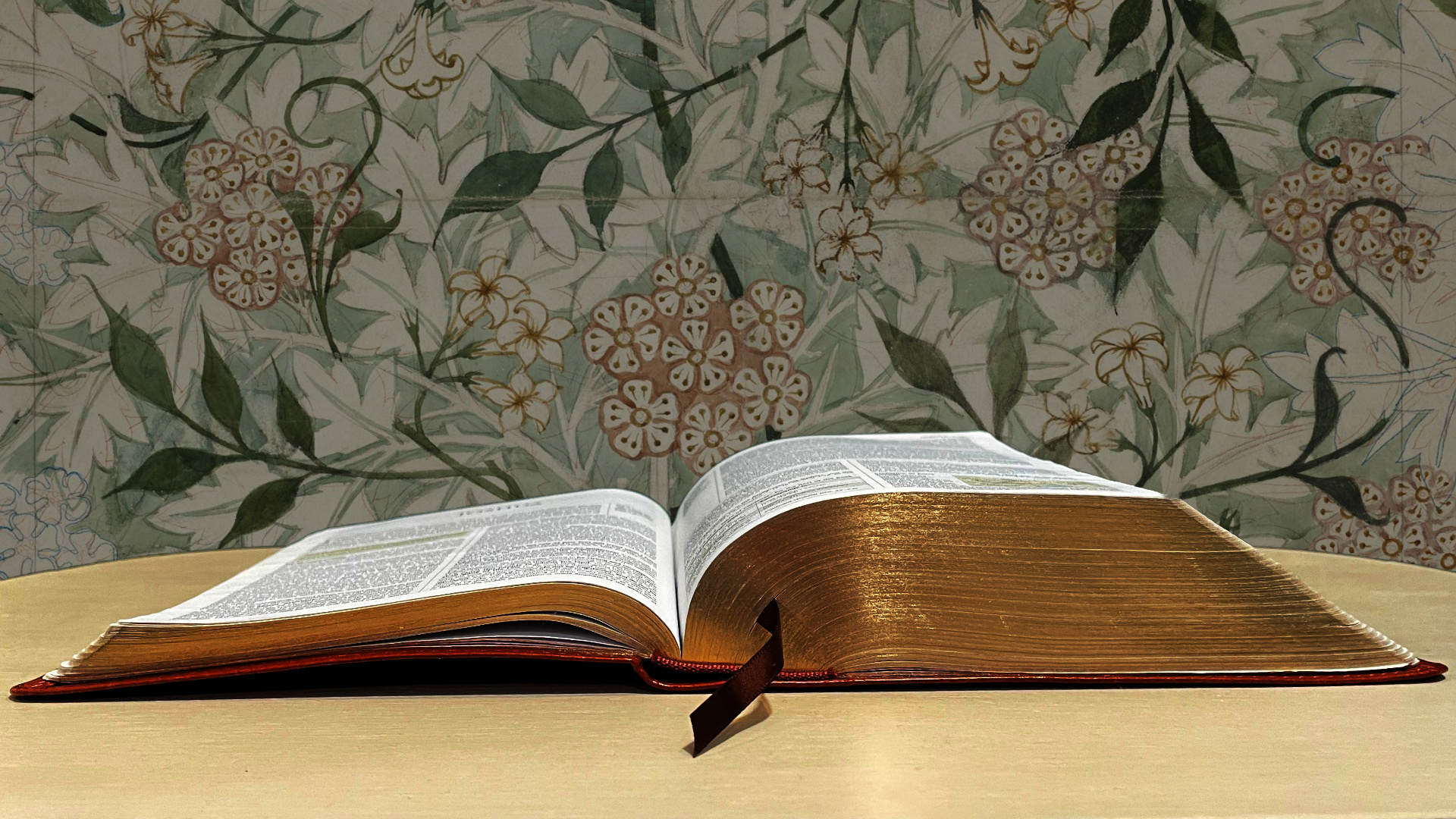 Why Women Need to Study Joshua