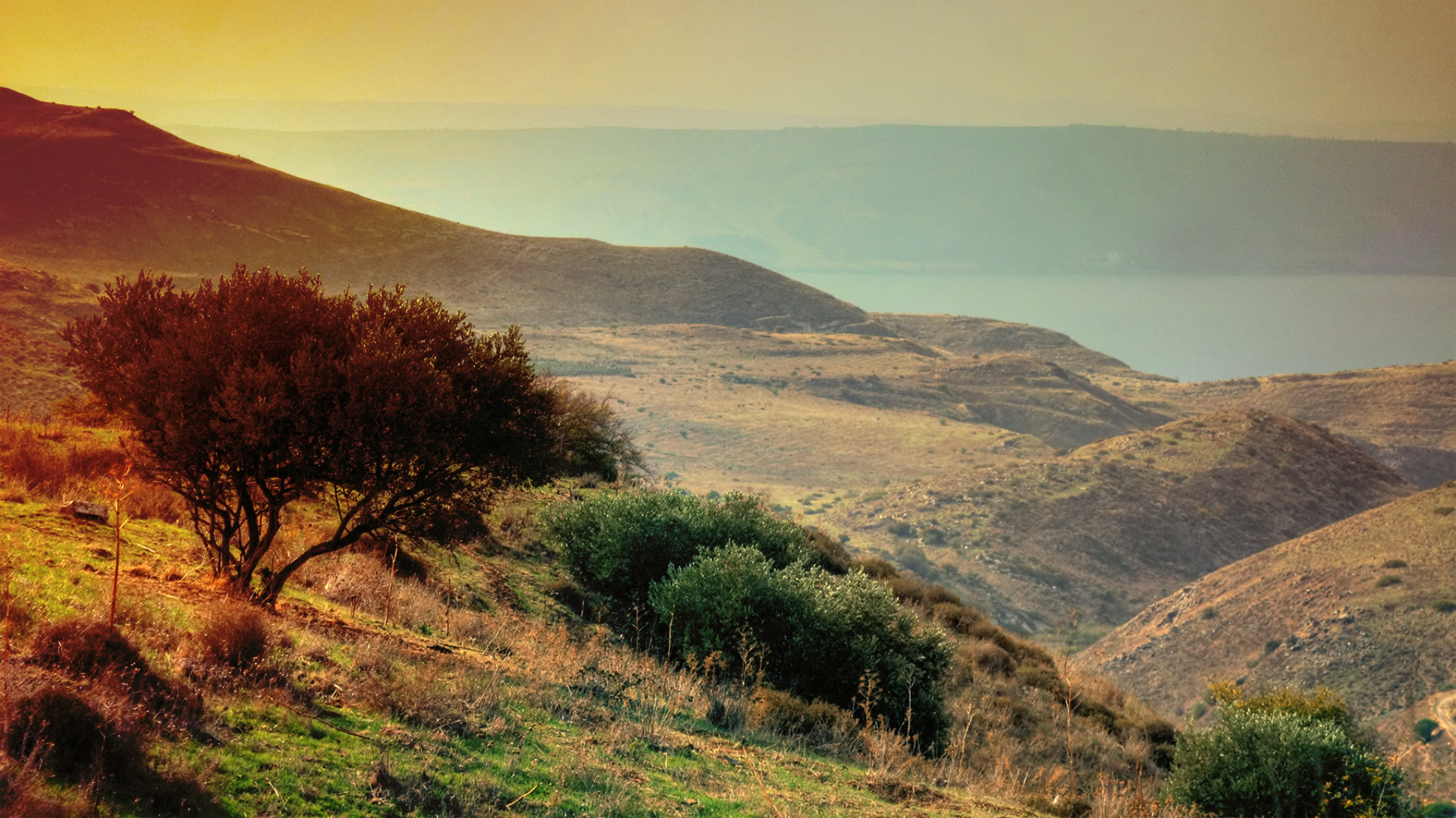 Don’t Overlook Lamentations at the Cross