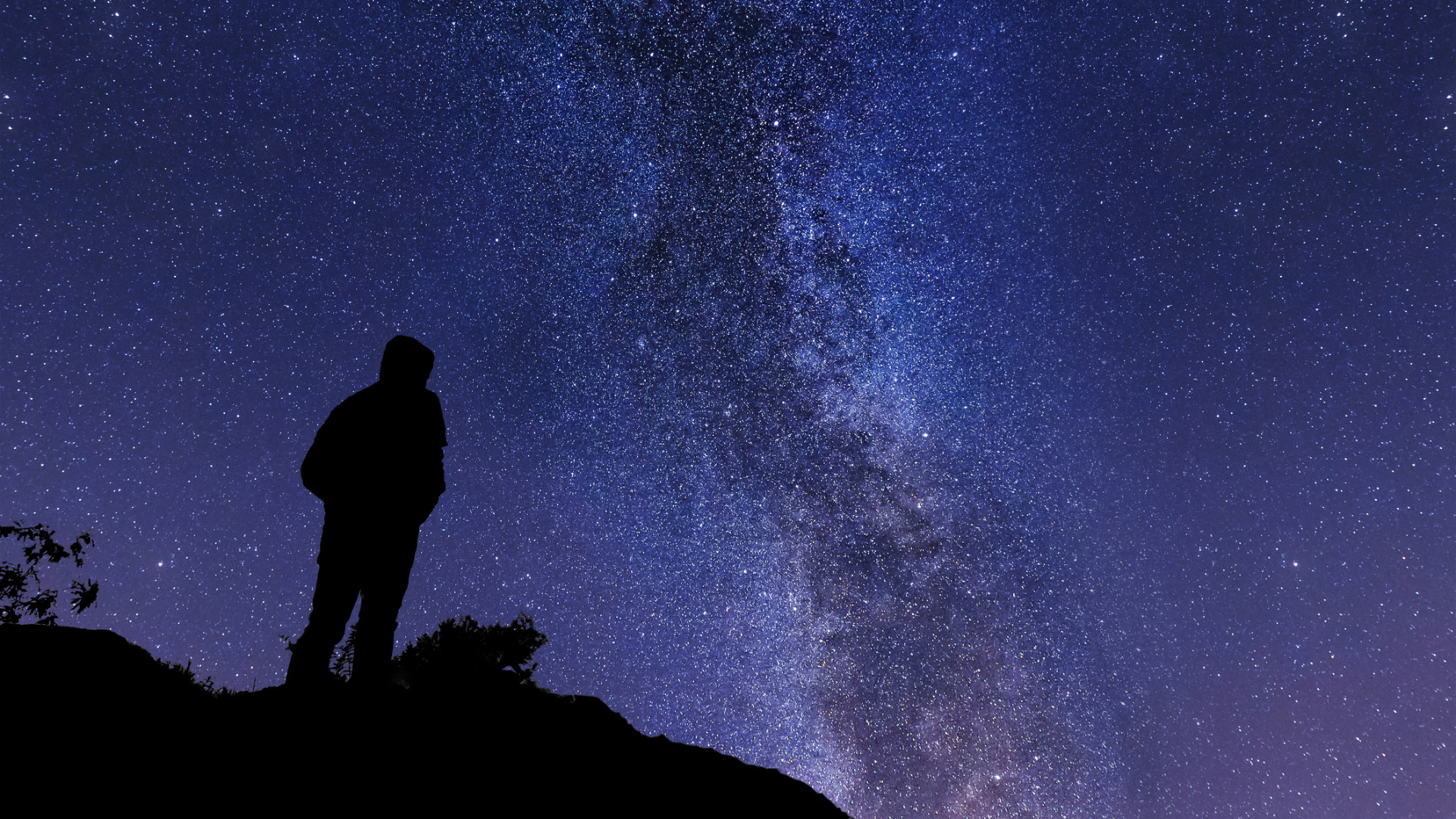 AI Can’t Beat What We Learn in the School of Our Senses