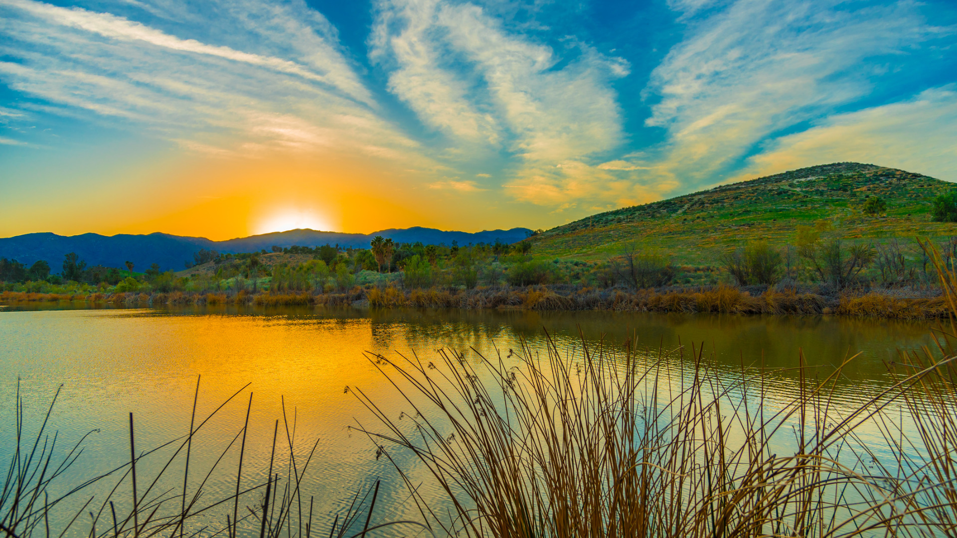 Christ’s Resurrection Is Good News for Creation, Too