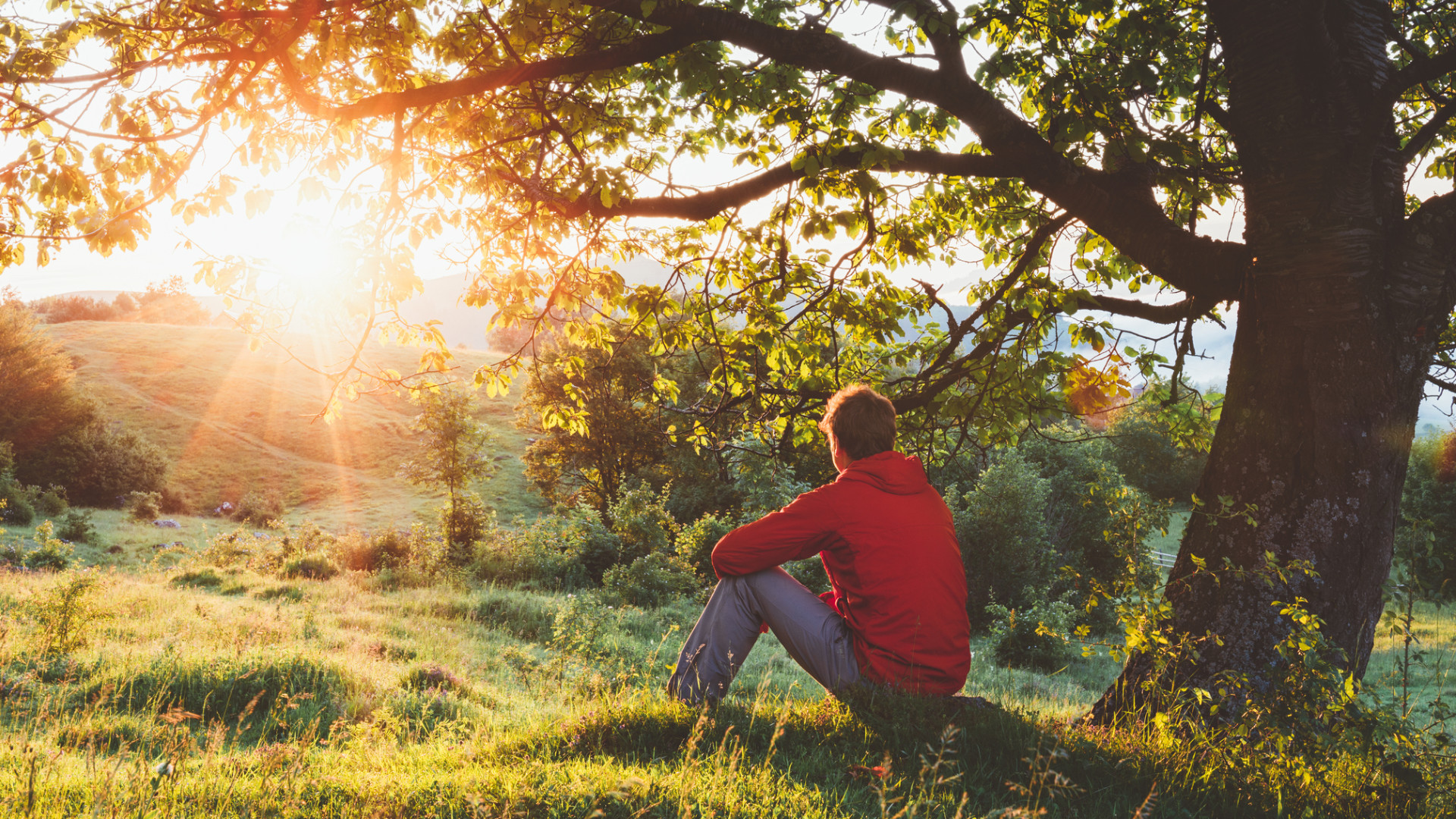 Rooted in What Lasts: Identity Beyond Disability