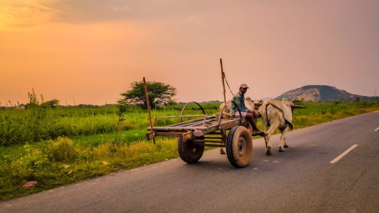 how can incredible india help invisible india