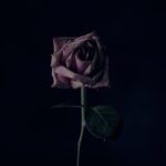 Why God Allows Some Things to Get Worse Before They Get Better
