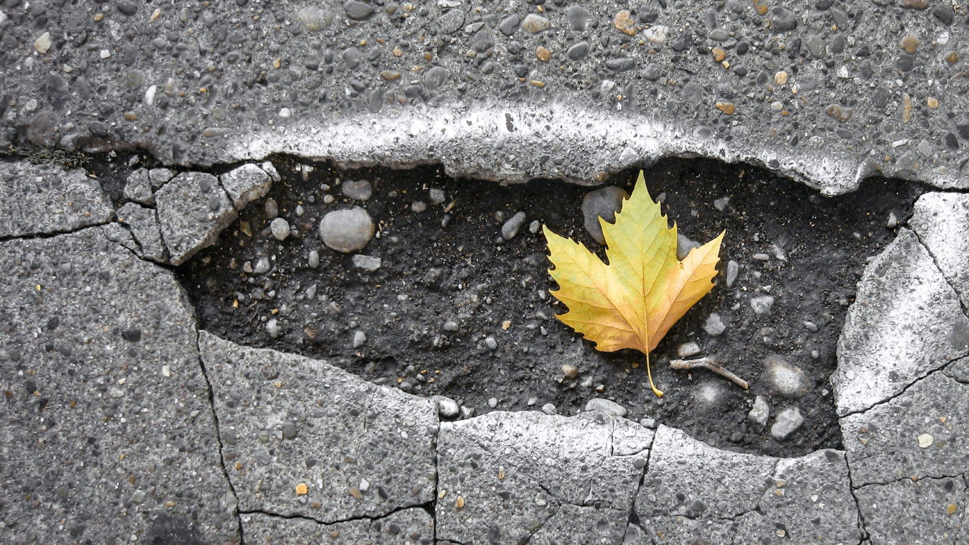 Realistic Expectations From a Life of Ministry