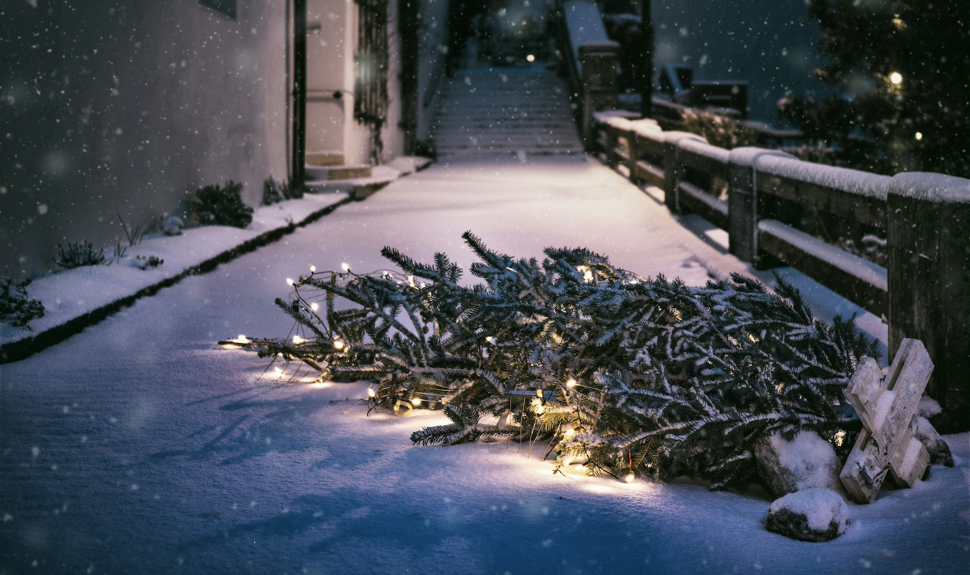 When It Does Not Feel Like Christmas Christopher David
