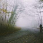 Photo by Patrick Hendry on Unsplash