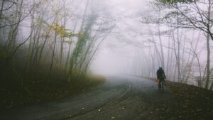 Photo by Patrick Hendry on Unsplash