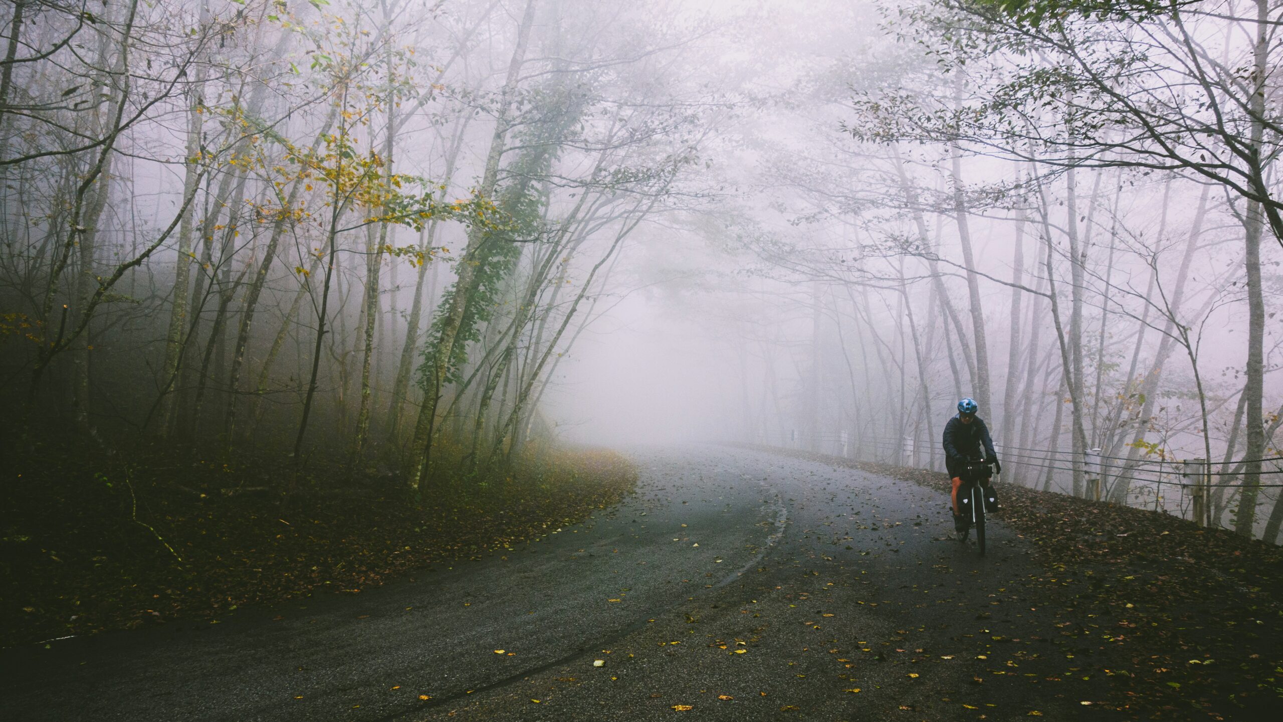 Photo by Patrick Hendry on Unsplash