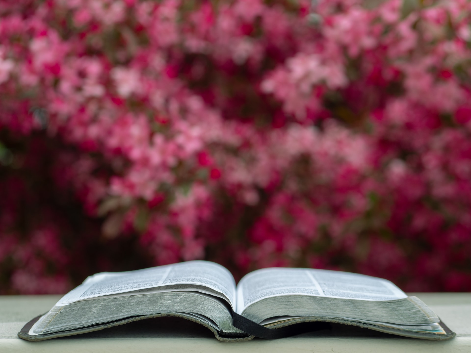ca.thegospelcoalition.org