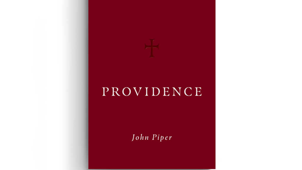 providence john piper book review