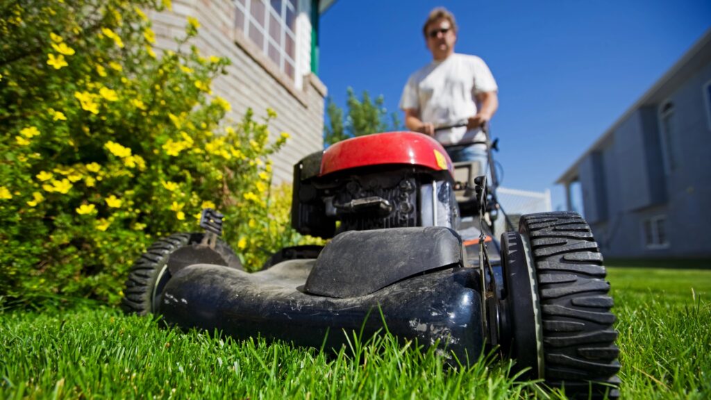 mow lawn