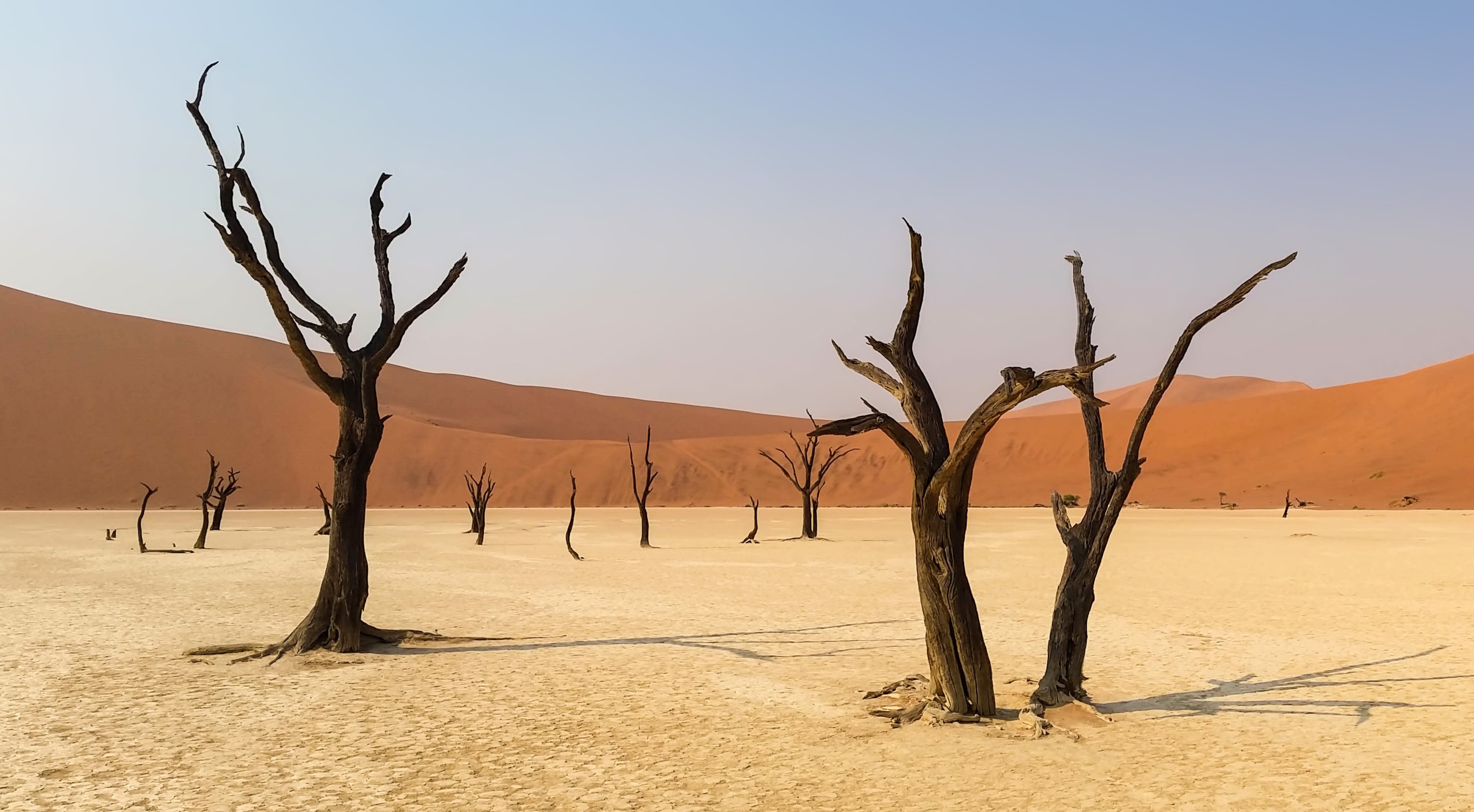 природные катастрофы засуха. засуха пиксабай. засуха пришла небо было донельзя. засуха. засуха пришла небо было донельзя.