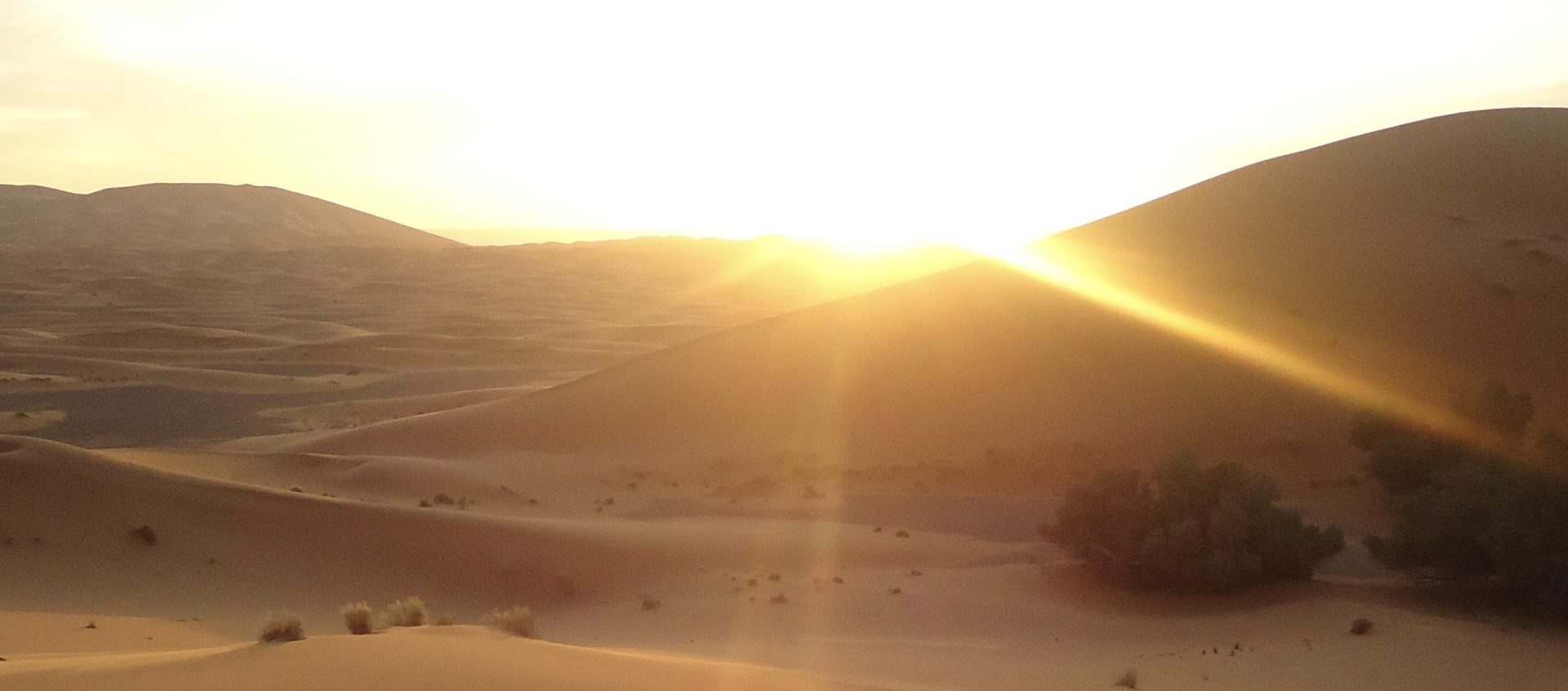 A Prayer for Christmas Morning The Gospel Coalition Australia