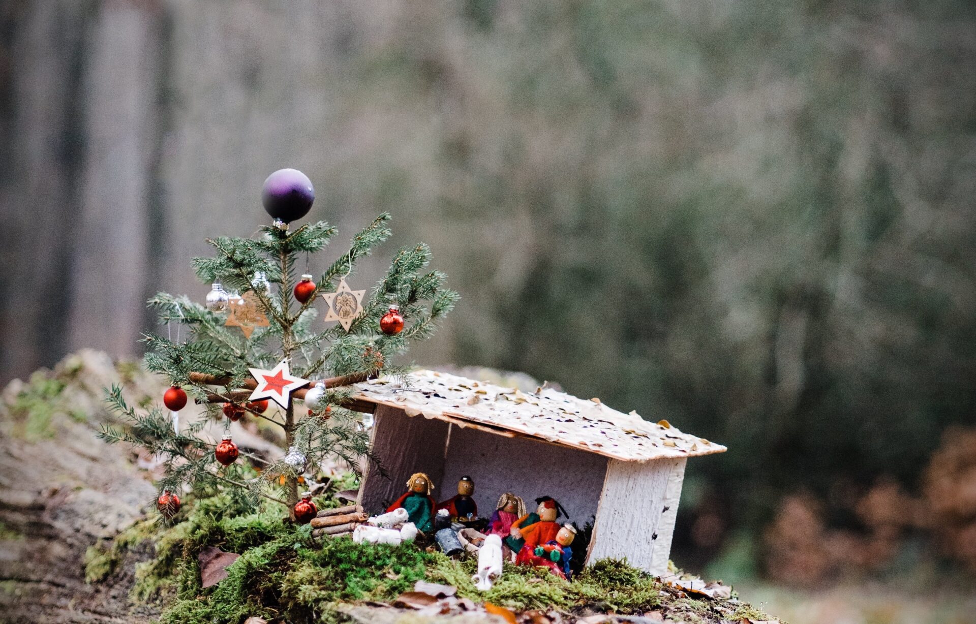 Christmas Means Life The Gospel Coalition Australia