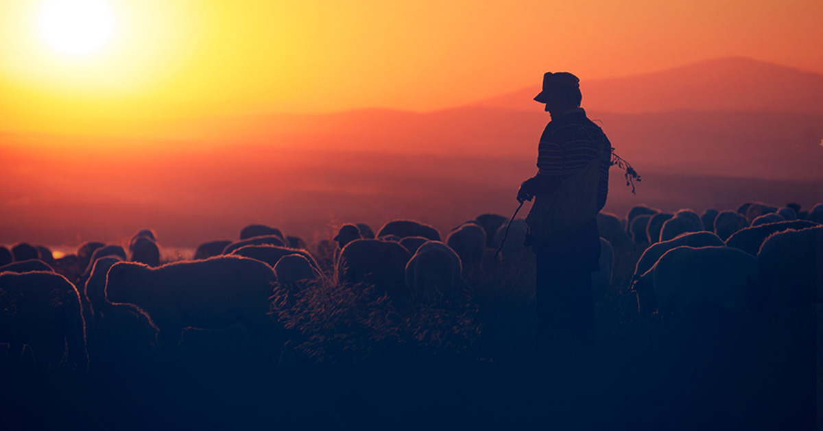 La noble labor del pastor Coalición