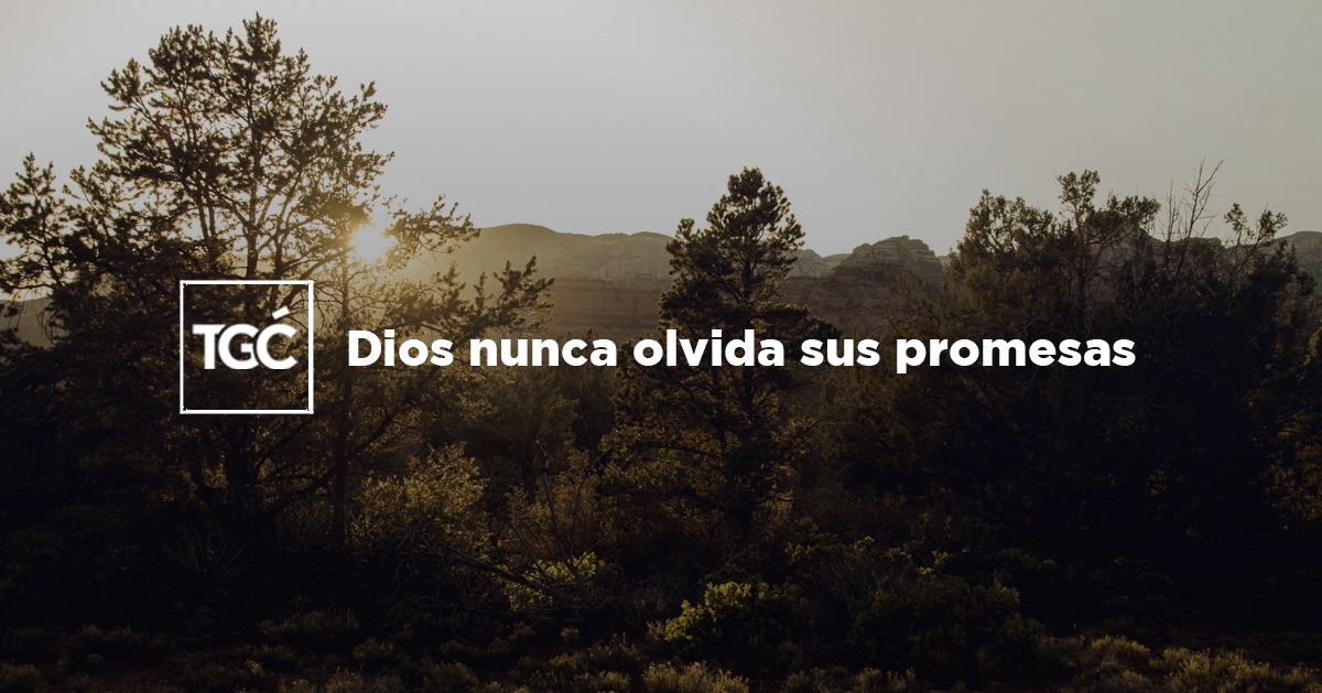 Dios nunca olvida sus promesas | Coalición por el Evangelio
