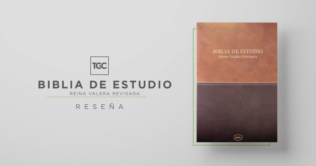 Qué significa Reivindicar según la Biblia? Biblia Online🌿 Descubra a